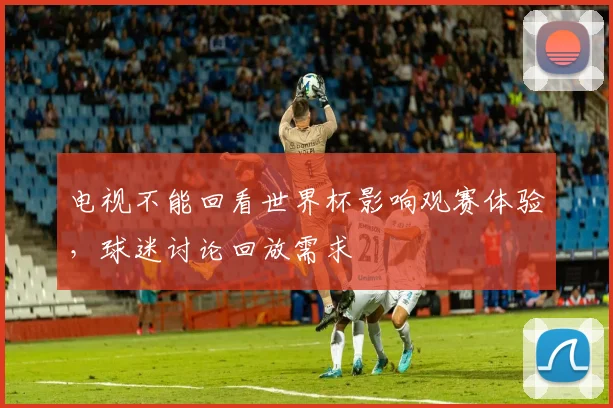 电视不能回看世界杯影响观赛体验,球迷讨论回放需求