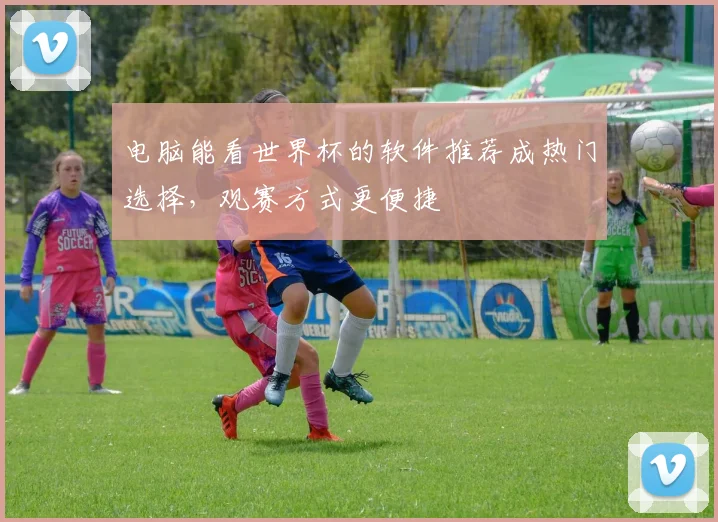 电脑能看世界杯的软件推荐成热门选择,观赛方式更便捷