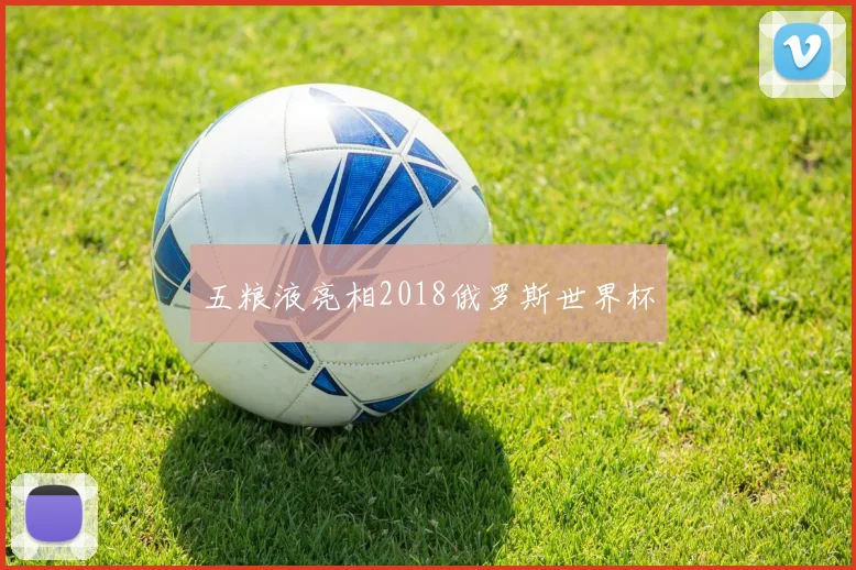 五粮液亮相2018俄罗斯世界杯