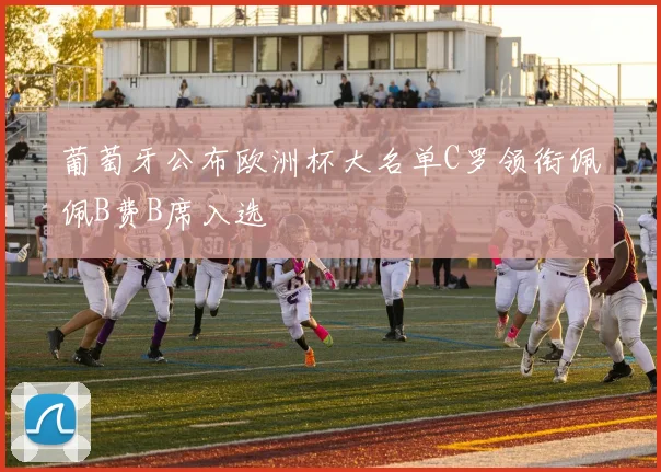 葡萄牙公布欧洲杯大名单C罗领衔佩佩B费B席入选