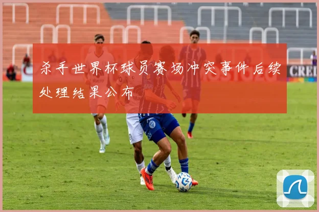 杀手世界杯球员赛场冲突事件后续处理结果公布