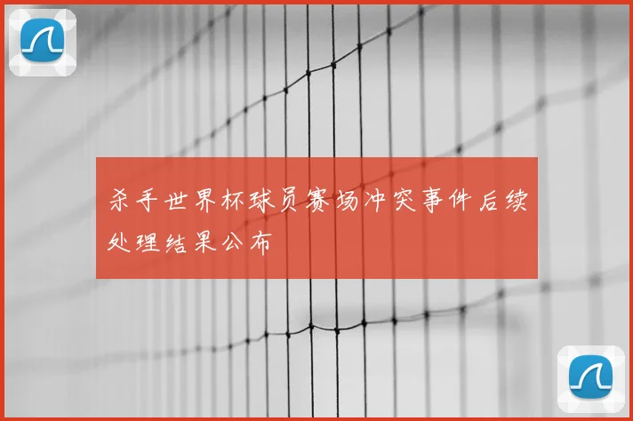 杀手世界杯球员赛场冲突事件后续处理结果公布