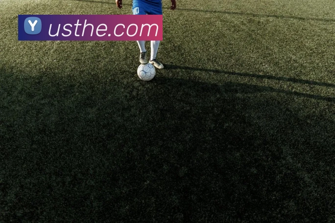 mksports官方登录入口服务体系